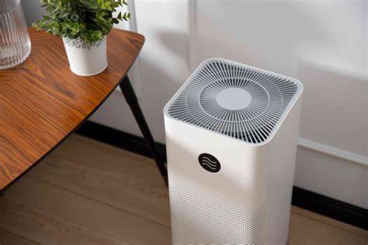 Do air purifiers remove dust from house?