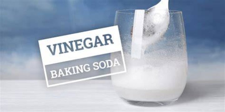 Does baking soda and vinegar work?