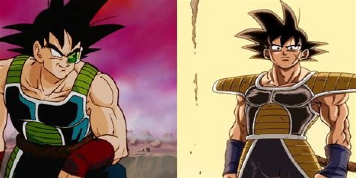 Is Bardock a vegetable?