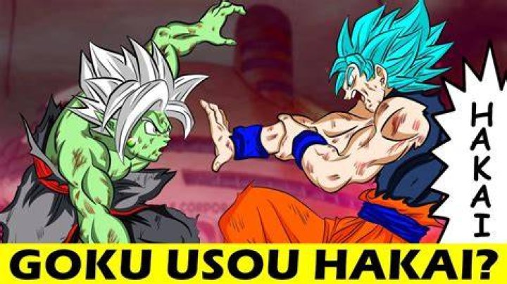 When did Goku use hakai?