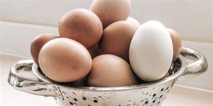 Why do Italians not refrigerate eggs?