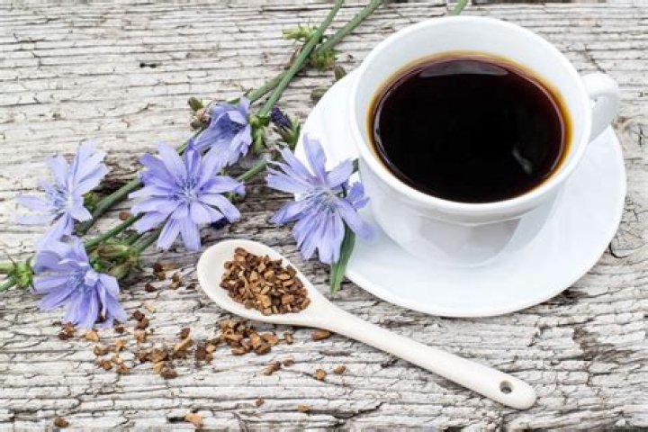 Why is chicory added to coffee?
